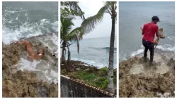 Cadáver de un perro fue usado como cebo para atraer tiburones por un pescador en San Andrés